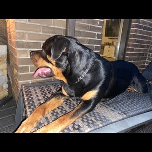 Meet your Posher, Serena